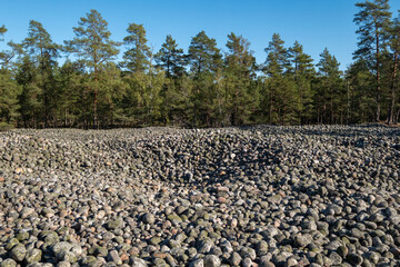 Littorinas stenar - stones from last ice age in Sweden
