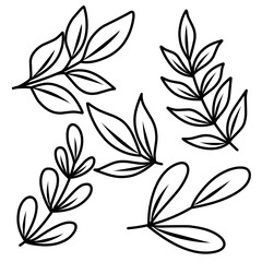 black and white leaves