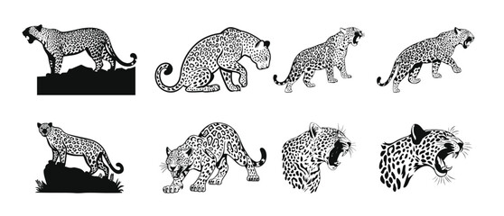 sitting leopard silhouette leopard illustration set in © Ikhhe