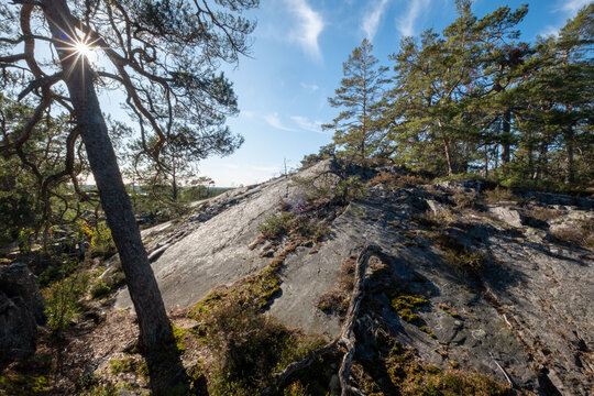 Segersg&auml;rde nature reserve near V&auml;stervik in Sweden