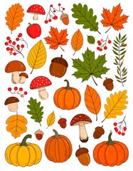 A collection of various autumn elements including leaves, pumpkins, and fungi arranged decoratively