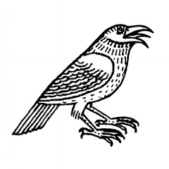 Fototapeta premium simple crow illustration on white background