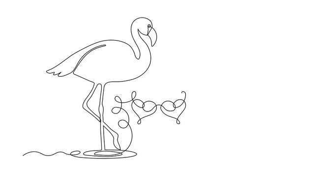 Two loving flamingos and hearts, Valentine's day, love. Self drawing animation one continuous line draw, logo on white background