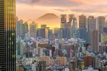 Tokyo skyline with Mountain fuji in Japan