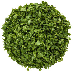 Obraz premium Freshly chopped watercress a vibrant circular pile of green leaves isolated on white background