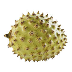 Close-up of a spiky green chestnut fruit isolated on white background