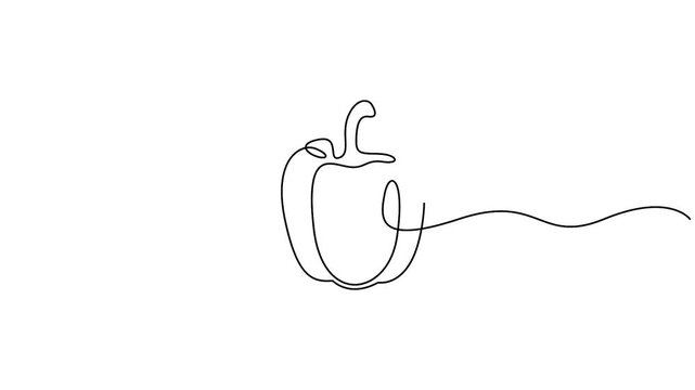 Self animated minimalist, continuous one-line art drawing of a bell pepper, Single line art capsicum