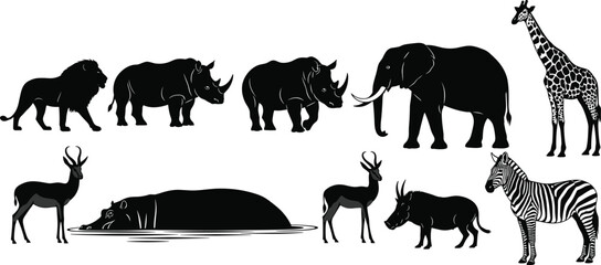 Large African Safari Wildlife Animals Silhouette Collection Featuring Lion Elephant Giraffe Zebra Rhino Hippo and Antelope for Nature Conservation Education and Creative Design Projects © Ajmira