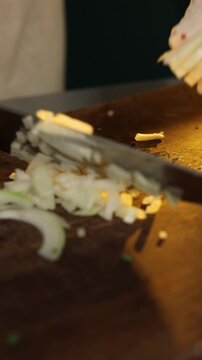 Woman chopping onion in modern kitchen
