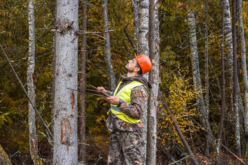 A man, a forest engineer, measures the thickness of trees in a forest.