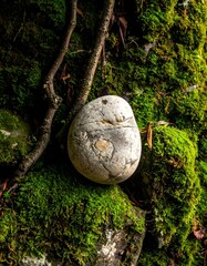 A weathered stone nestles among vibrant green moss and twigs