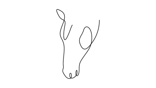 Self animated minimalist, continuous one-line drawing of horse head vector illustration