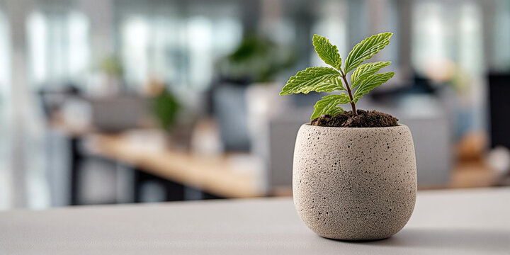 Small green plant in a concrete pot on an office desk symbolizing growth and sustainability