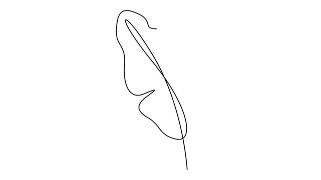 Self animated minimalist, continuous one-line drawing of a banana leaf, Single line art banana leaf vector illustration