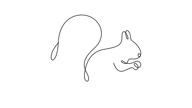 Self animated continuous one line art illustration of a squirrel, Single line art squirrel