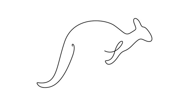 Self animated minimalist, continuous one-line drawing of a kangaroo. Full length one line art animation