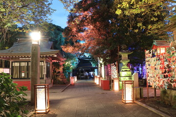 江ノ島にある神社や歩道がライトアップされた夜景
