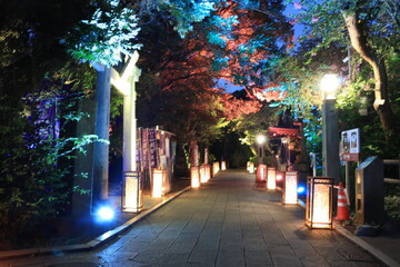 江ノ島にある神社や歩道がライトアップされた夜景
