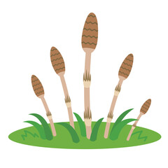 つくしが生えている　イラスト