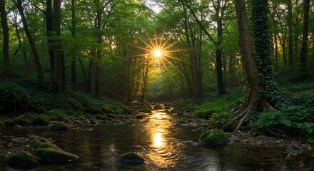 Obraz premium Sunlit Stream Through Verdant Forest - A Serene Landscape.