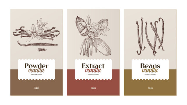 Set of vanilla vector labels