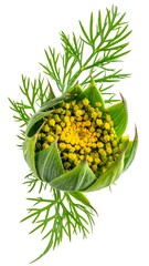 A vibrant, close-up botanical study showcasing a partially unfurled flower bud with intricate green leaves and delicate foliage