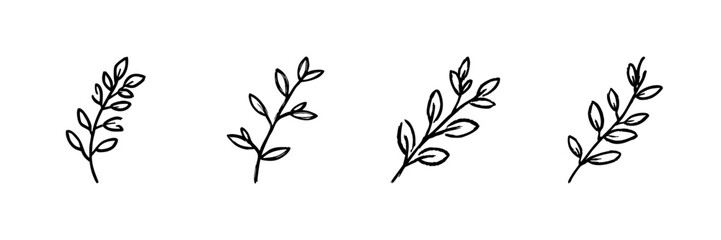 Fototapeta premium Four Botanical Leaf Branches Line Icon Set In Doodle Style. Nature, Organic Growth, And Eco-Friendly Design Outline Sketch Collection. Hand Drawn Isolated Vector Illustration