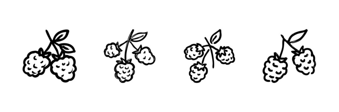 Raspberry Cluster Line Icon Set In Doodle Style. Fresh Berry, Organic Fruit, And Healthy Eating Outline Sketch Collection. Hand Drawn Isolated Vector Illustration