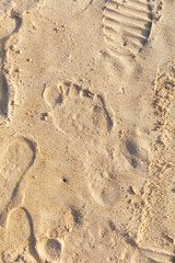 A foot print is in the sand
