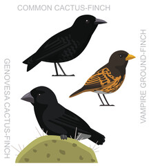 Bird Cactus Finch Vampire Set Cute Cartoon Vector