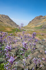 Obraz premium Heaven and Hell Valley. Cilo Mountains, Hakkari, Heaven and Hell Valley. Streams formed from glaciers. The magnificent Heaven and Hell Canyon. Amazing trekking routes in Hakkari. Turkey.