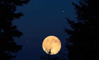 Fototapeta premium Full Moon, stars, planets and rural landscape scenery silhouettes.