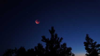 Fototapeta premium Blue hour time with lunar eclipse, stars and planets above landscape silhouettes.