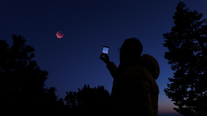 Fototapeta premium Amateur astronomer with smartphone photographing and observing stars, planets, Moon and other celestial objects.