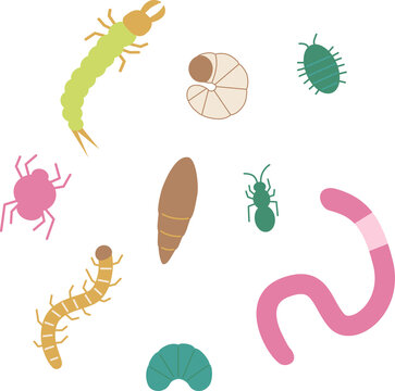 土の中の虫イラスト