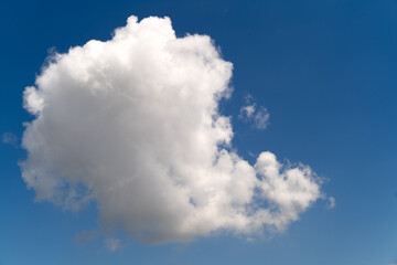 Fototapeta premium Soft, drifting clouds shaping a beautiful textured sky.