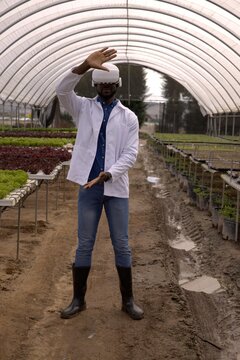 Plastic panels inside greenhouse diffusing sunlight on leafy trays and seedlings over muddy walkway