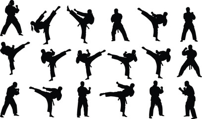 Black silhouette set of martial arts fighters performing karate kicks and taekwondo poses isolated on white background for combat sports training or competition design. © Umme