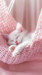 Cute White Kitten Sleeping Hammock Pink Knit Dreamy Adorable Look