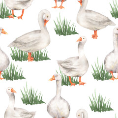 Obraz premium Seamless pattern of geese in the grass