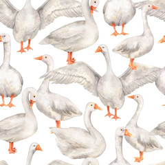 Obraz premium Seamless pattern of geese
