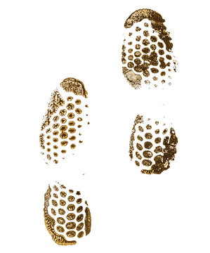 Foot print in wet mud, muddy boots, dirty tracks isolated on white background, clipping path