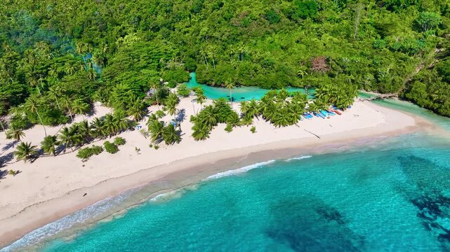 Drone view of Samana Island in the Dominican Republic. The Atlantic Ocean with clear blue water and green palm trees. Tropical beach Rincon. Blue lagoon on a paradise beach. The best beach in the worl
