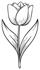 Obraz premium Elegant single tulip outline drawing with green leaves and stem
