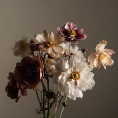Obraz premium Stunning arrangement of delicate anemone flowers in soft lighting