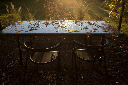 Autumn Afternoon Sunlight on Outdoor Table and Chairs with Scattered Leaves