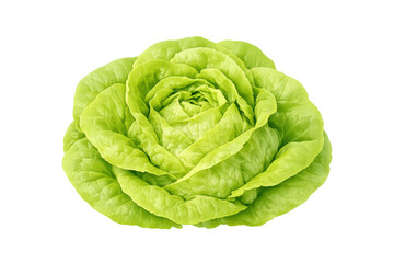 Fresh butterhead lettuce showing vibrant green leaves, a nutritious ingredient for healthy salads, on transparent background