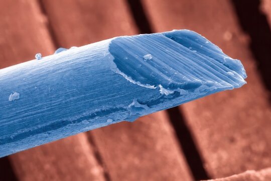 Scanning electron microscope close up of broken blue microfiber with split end
