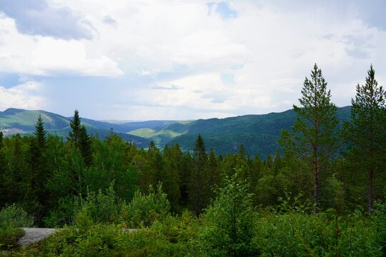A view of the forested landscape to the east of the fortress of Hegra festning, built to defend against the treath of swedish invasion.