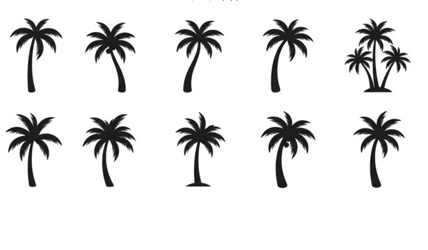 Palm Tree Flat Silhouette Icon Set Vector Coconut Palms
